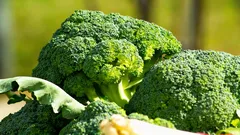 Hur man väljer färsk broccoli i affären: 3 tecken som man inte får missa
